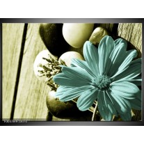 Foto canvas schilderij Bloem | Blauw, Zwart, Groen 