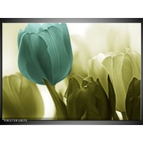 Foto canvas schilderij Tulp | Blauw, Zwart, Groen 