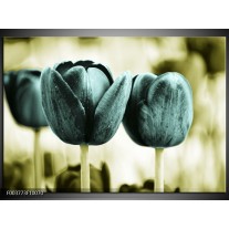 Foto canvas schilderij Tulp | Blauw, Zwart, Groen 