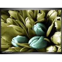 Foto canvas schilderij Tulp | Blauw, Zwart, Groen 