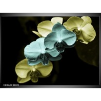 Foto canvas schilderij Orchidee | Blauw, Zwart, Groen 