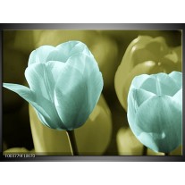 Foto canvas schilderij Tulp | Blauw, Zwart, Groen 