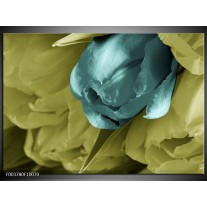 Foto canvas schilderij Tulp | Blauw, Zwart, Groen 