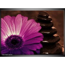 Foto canvas schilderij Bloem | Paars, Bruin, Wit 