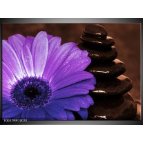 Foto canvas schilderij Bloem | Paars, Bruin, Wit 