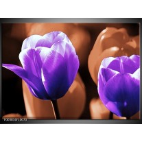 Foto canvas schilderij Tulp | Paars, Bruin, Wit 