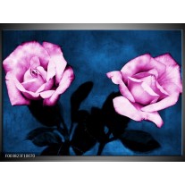 Foto canvas schilderij Roos | Roze, Blauw, Zwart 