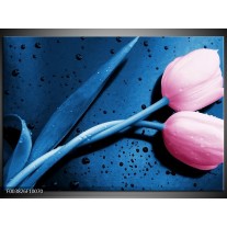 Glas schilderij Tulp | Roze, Blauw 