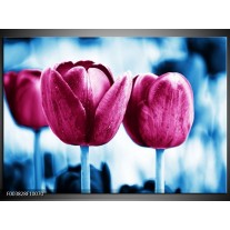 Foto canvas schilderij Tulp | Roze, Blauw 