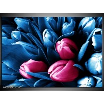 Glas schilderij Tulp | Roze, Blauw 