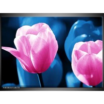 Foto canvas schilderij Tulp | Roze, Blauw 