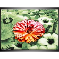 Foto canvas schilderij Bloem | Rood, Groen, Wit 