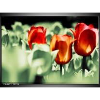 Foto canvas schilderij Tulp | Rood, Oranje, Groen 