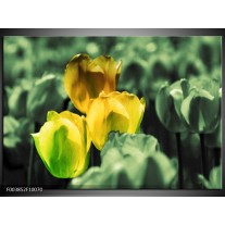 Foto canvas schilderij Tulp | Geel, Groen 