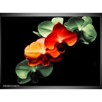 Foto canvas schilderij Orchidee | Rood, Groen, Zwart 