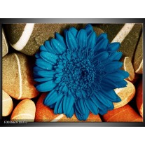 Foto canvas schilderij Bloem | Blauw, Oranje, Grijs 