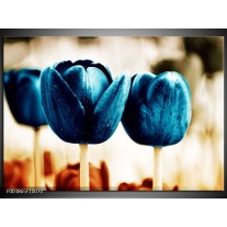 Foto canvas schilderij Tulp | Blauw, Wit, Grijs 