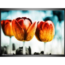 Foto canvas schilderij Tulp | Oranje, Rood, Blauw 