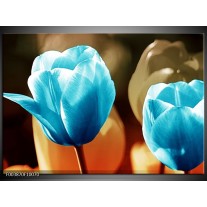 Foto canvas schilderij Tulp | Blauw, Oranje, Bruin 