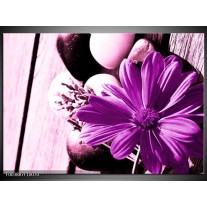 Foto canvas schilderij Bloem | Paars, Wit, Zwart 