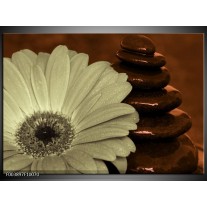 Foto canvas schilderij Bloem | Bruin, Grijs 