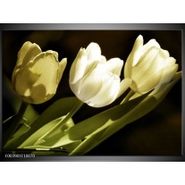 Foto canvas schilderij Tulp | Groen, Grijs 