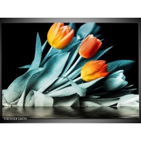 Foto canvas schilderij Tulp | Oranje, Blauw, Zwart 