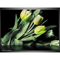 Foto canvas schilderij Tulp | Groen, Zwart 