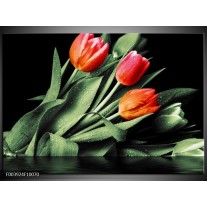 Foto canvas schilderij Tulp | Rood, Oranje, Groen 