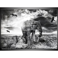 Foto canvas schilderij Olifant | Grijs, Zwart, Wit 