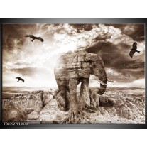 Glas schilderij Olifant | Grijs, Wit 