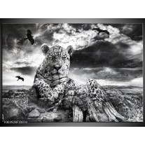 Foto canvas schilderij Natuur | Grijs, Wit, Zwart 