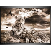Foto canvas schilderij Natuur | Grijs, Wit