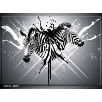 Foto canvas schilderij Zebra | Zwart, Wit, Grijs 