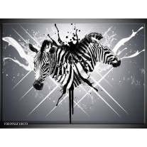 Glas schilderij Zebra | Zwart, Wit, Grijs 