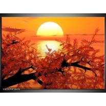 Foto canvas schilderij Natuur | Oranje, Geel, Zwart 