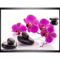 Glas schilderij Orchidee | Paars, Wit, Zwart 