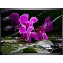 Foto canvas schilderij Orchidee | Zwart, Roze, Grijs 