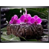 Foto canvas schilderij Orchidee | Zwart, Roze, Grijs 