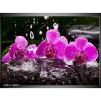 Glas schilderij Orchidee | Zwart, Roze, Grijs 