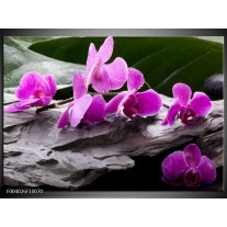 Foto canvas schilderij Orchidee | Zwart, Roze, Grijs 