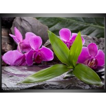 Foto canvas schilderij Orchidee | Zwart, Roze, Grijs 