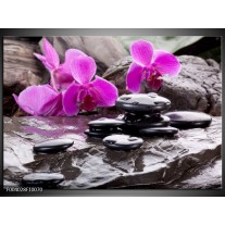 Foto canvas schilderij Orchidee | Zwart, Roze, Grijs 