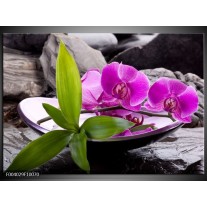 Glas schilderij Orchidee | Zwart, Roze, Grijs 