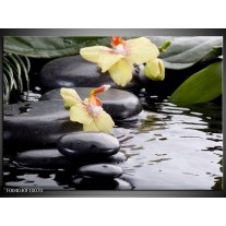 Foto canvas schilderij Orchidee | Geel, Zwart, Wit 