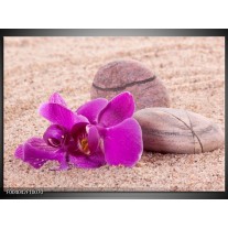 Foto canvas schilderij Orchidee | Paars, Geel, Bruin 