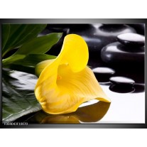 Foto canvas schilderij Bloem | Geel, Zwart, Wit 