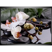 Glas schilderij Orchidee | Geel, Zwart, Wit 