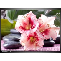 Foto canvas schilderij Bloem | Roze, Wit, Groen 