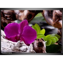 Foto canvas schilderij Bloem | Paars, Groen, Bruin 